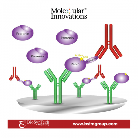 BSTM_Molecular Innovations